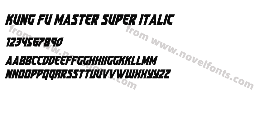 Kung Fu Master Super ItalicPreview