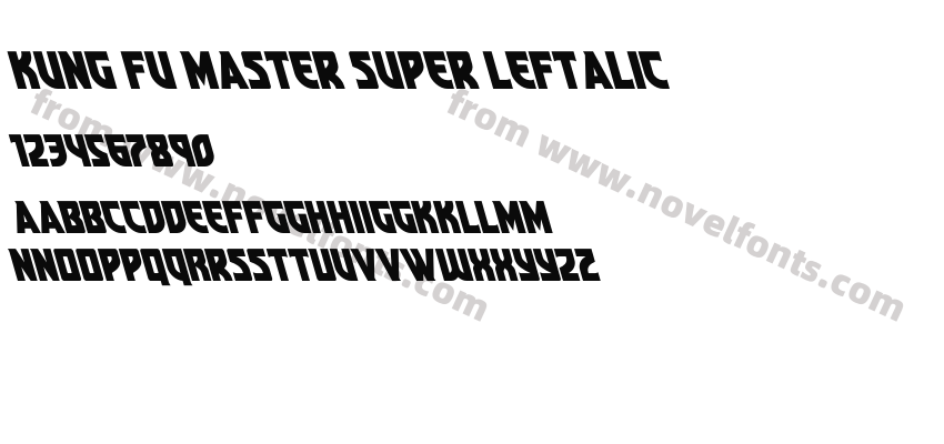 Kung Fu Master Super LeftalicPreview
