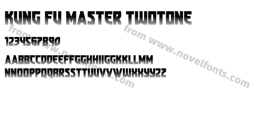 Kung Fu Master TwotonePreview