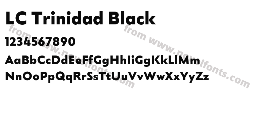 LC Trinidad BlackPreview