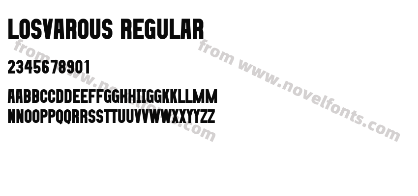 LOSVAROUS RegularPreview