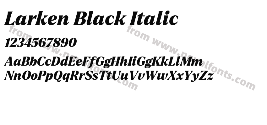 Larken Black ItalicPreview