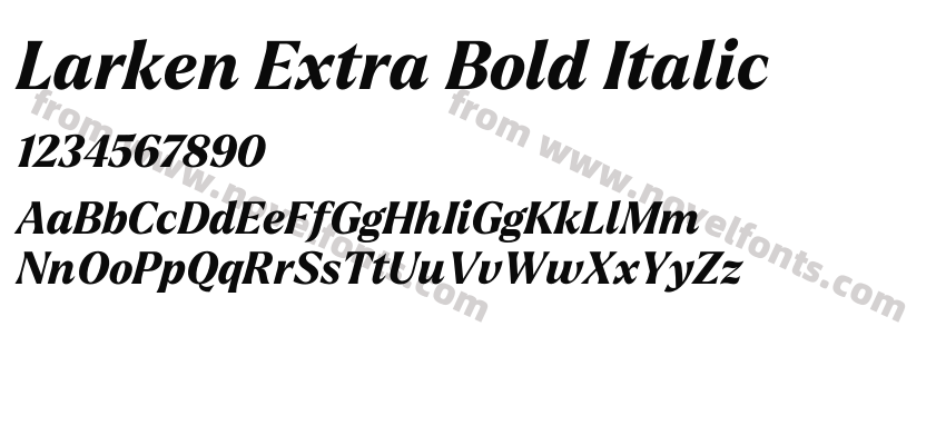 Larken Extra Bold ItalicPreview