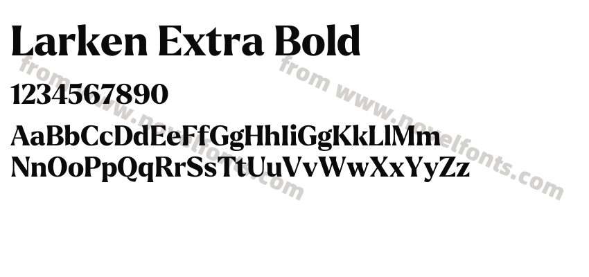 Larken Extra BoldPreview