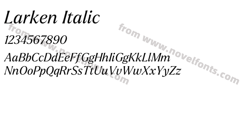 Larken ItalicPreview