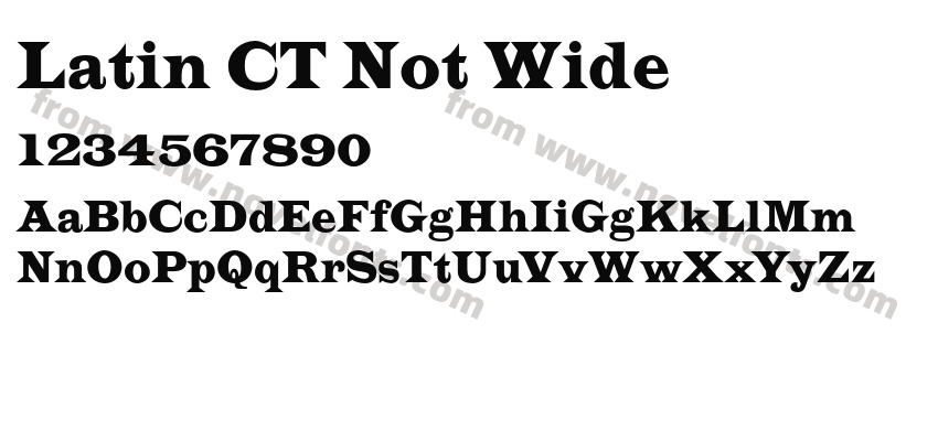 Latin CT Not WidePreview