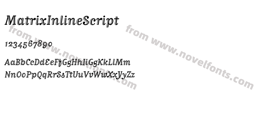 MatrixInlineScriptPreview