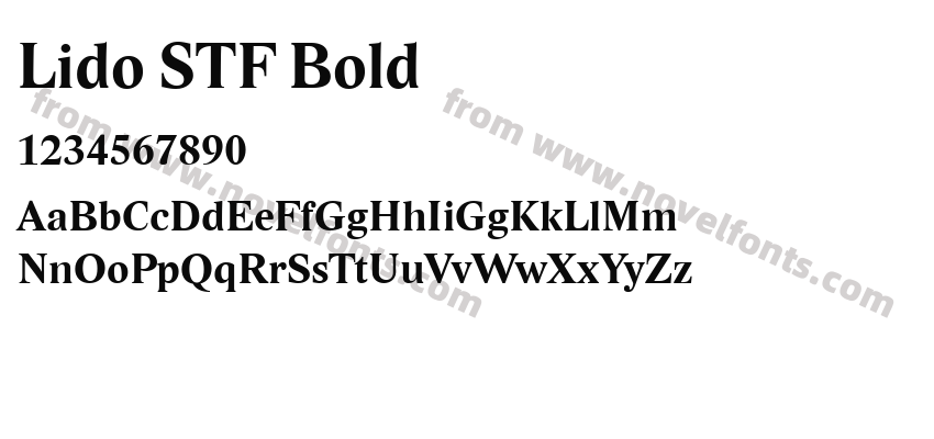 Lido STF BoldPreview