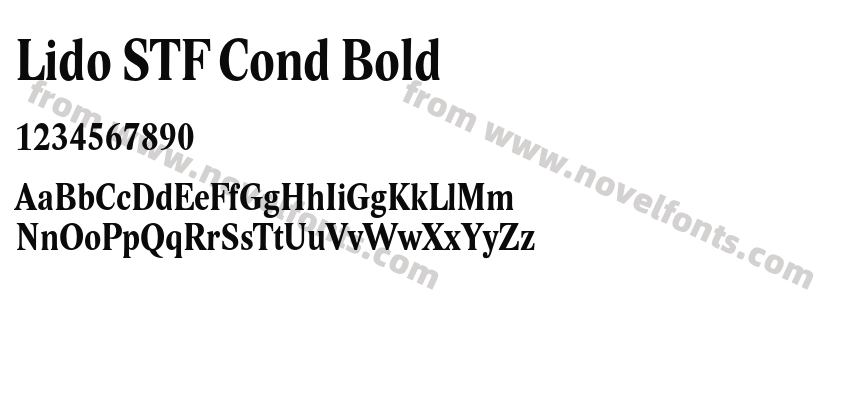 Lido STF Cond BoldPreview