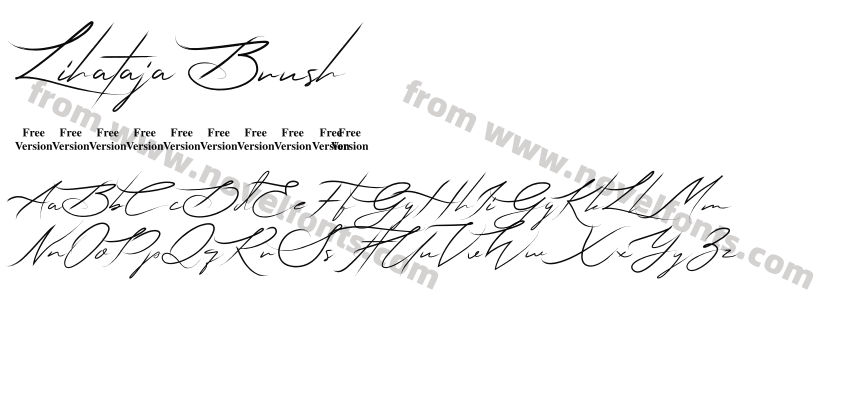 Lihataja BrushPreview