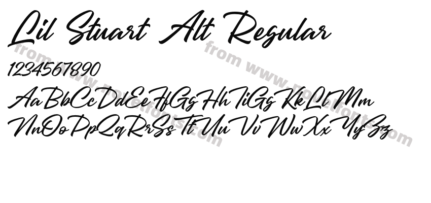 Lil Stuart Alt RegularPreview