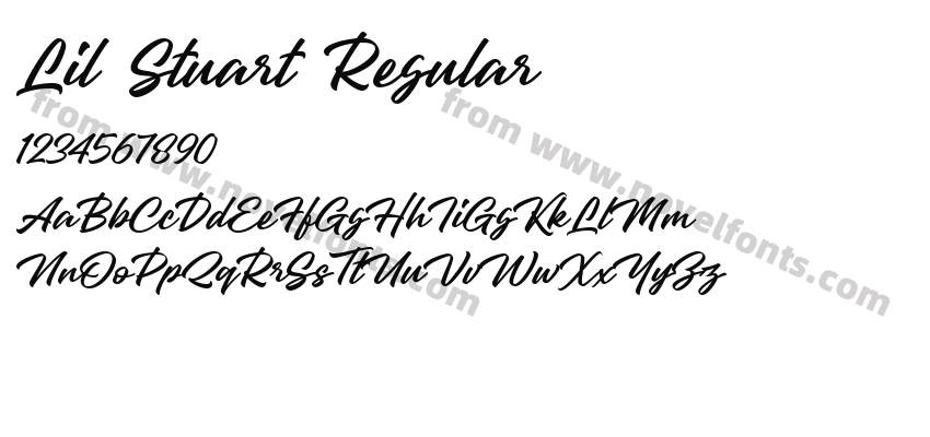 Lil Stuart RegularPreview