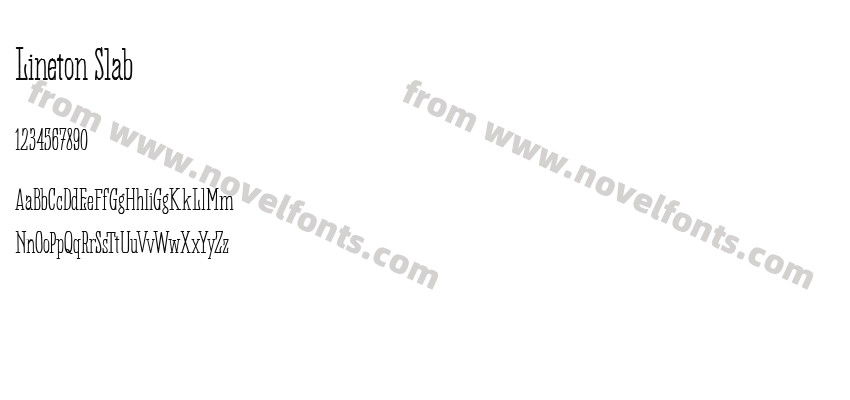 Lineton SlabPreview