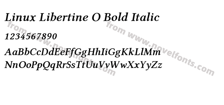 Linux Libertine O Bold ItalicPreview