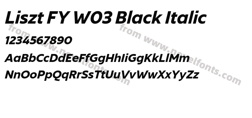 Liszt FY W03 Black ItalicPreview