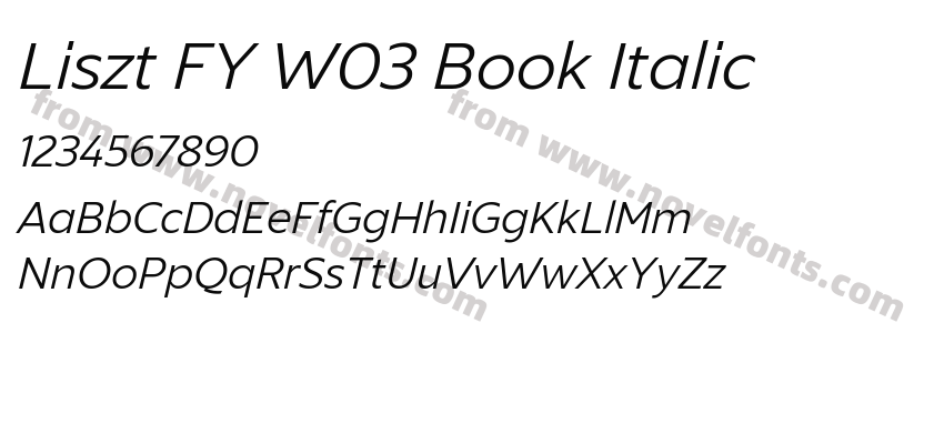 Liszt FY W03 Book ItalicPreview