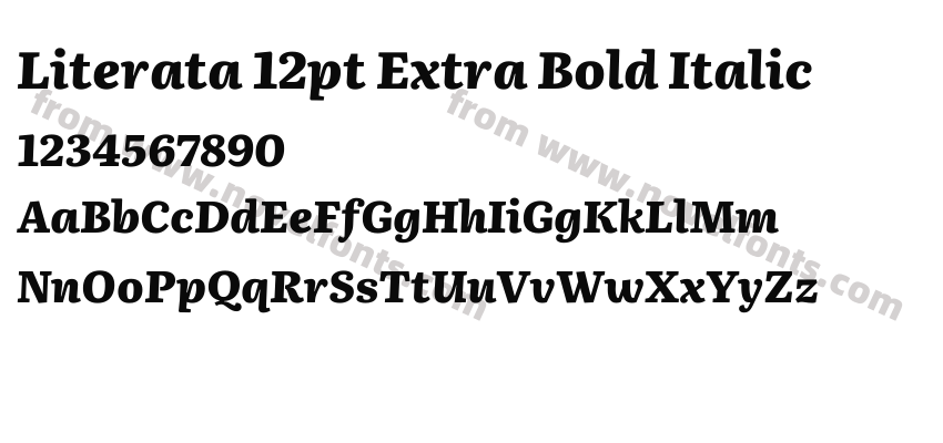 Literata 12pt Extra Bold ItalicPreview