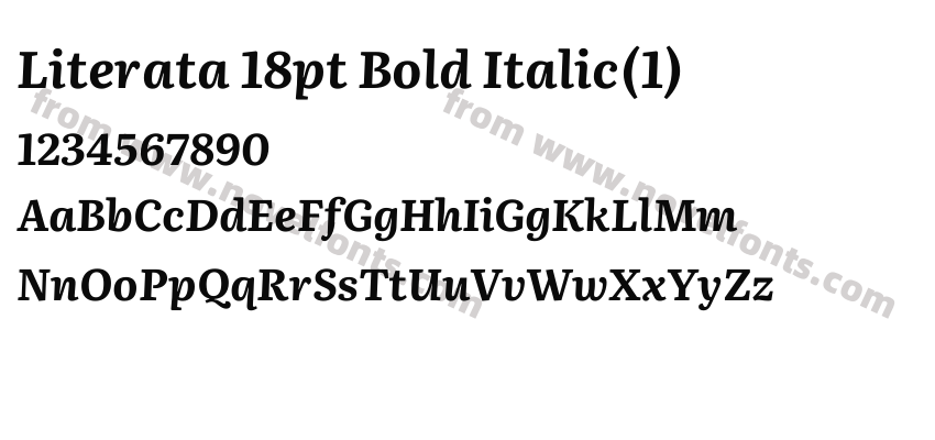 Literata 18pt Bold Italic(1)Preview