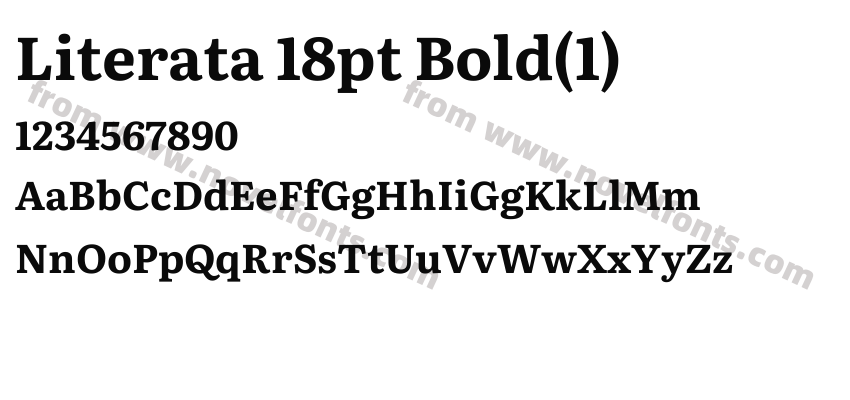 Literata 18pt Bold(1)Preview