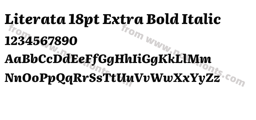 Literata 18pt Extra Bold ItalicPreview