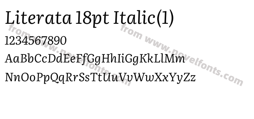 Literata 18pt Italic(1)Preview