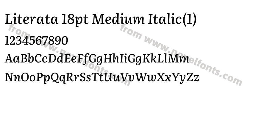 Literata 18pt Medium Italic(1)Preview