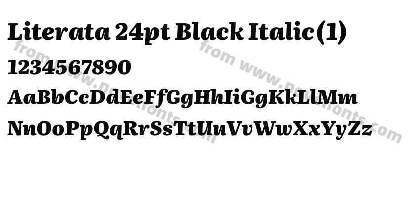 Literata 24pt Black Italic(1)Preview