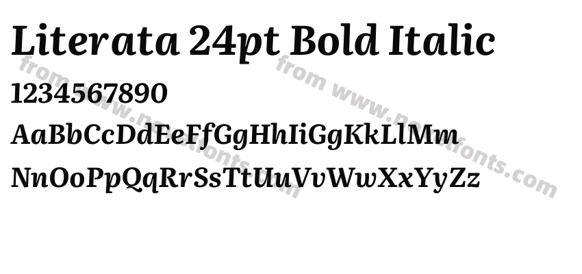 Literata 24pt Bold ItalicPreview