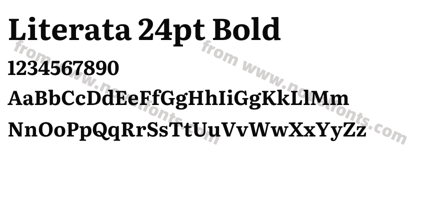 Literata 24pt BoldPreview