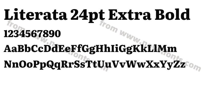 Literata 24pt Extra BoldPreview
