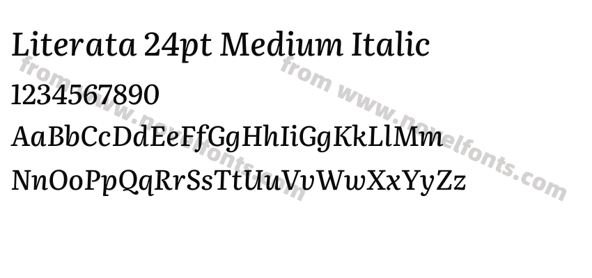 Literata 24pt Medium ItalicPreview