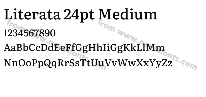 Literata 24pt MediumPreview