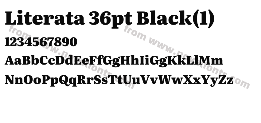 Literata 36pt Black(1)Preview