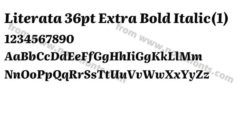 Literata 36pt Extra Bold Italic(1)Preview