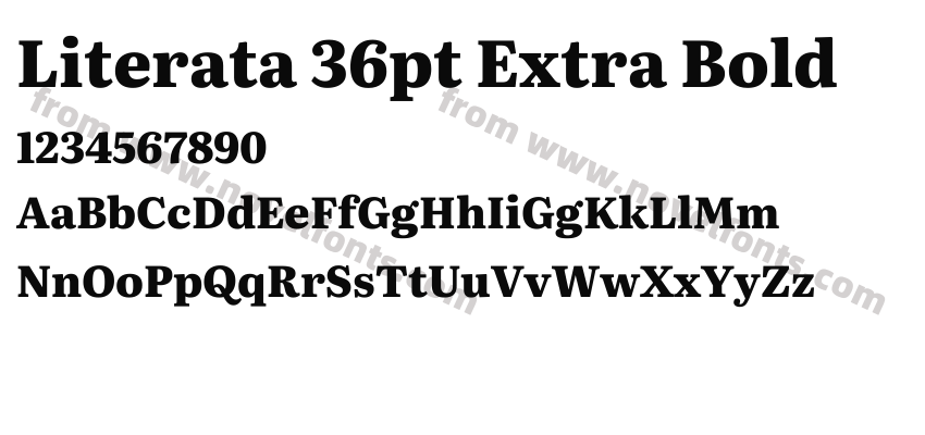 Literata 36pt Extra BoldPreview