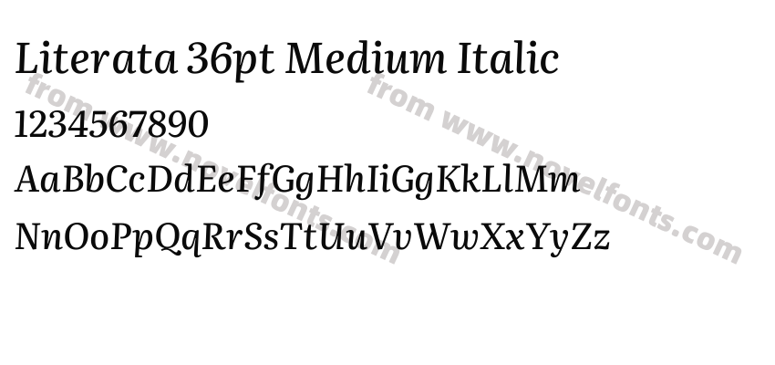 Literata 36pt Medium ItalicPreview