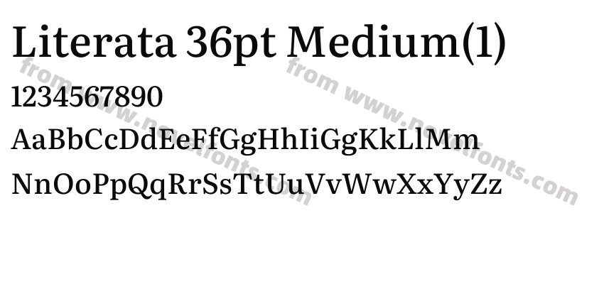 Literata 36pt Medium(1)Preview