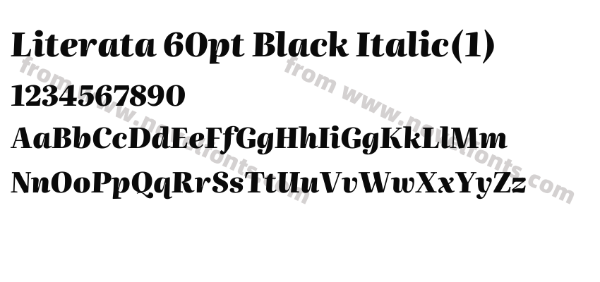 Literata 60pt Black Italic(1)Preview