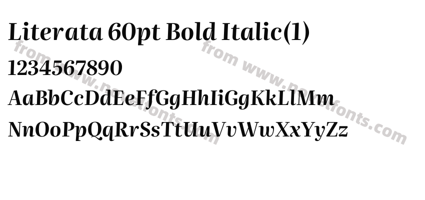 Literata 60pt Bold Italic(1)Preview