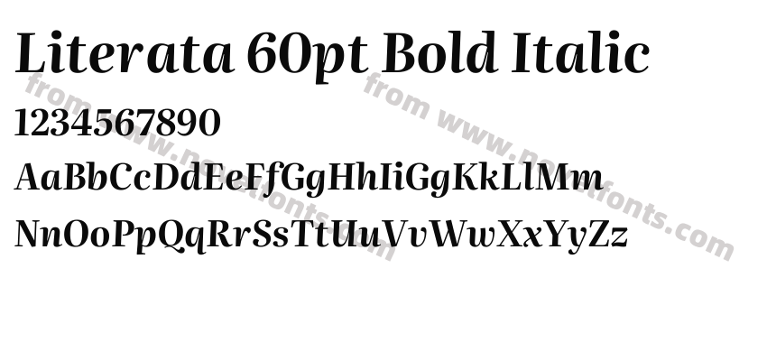 Literata 60pt Bold ItalicPreview