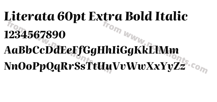 Literata 60pt Extra Bold ItalicPreview