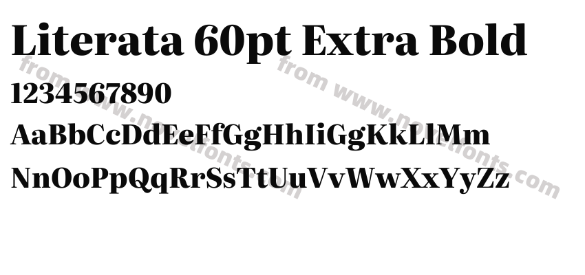 Literata 60pt Extra BoldPreview