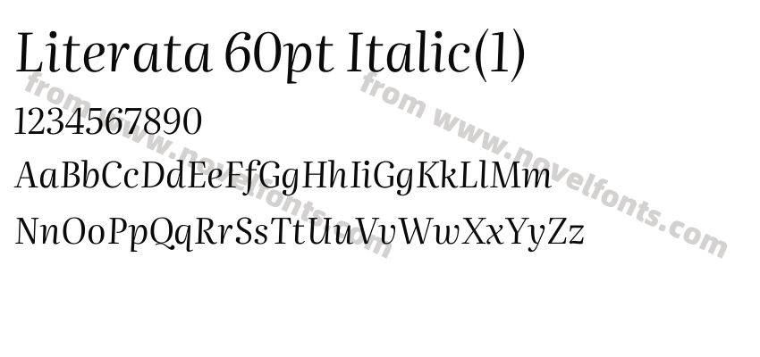 Literata 60pt Italic(1)Preview