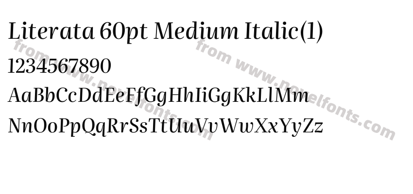 Literata 60pt Medium Italic(1)Preview