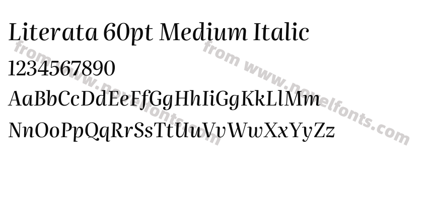 Literata 60pt Medium ItalicPreview
