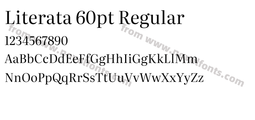 Literata 60pt RegularPreview