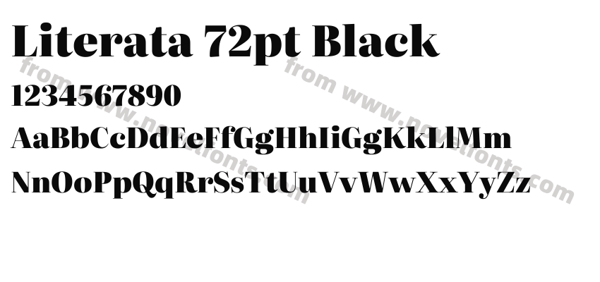 Literata 72pt BlackPreview