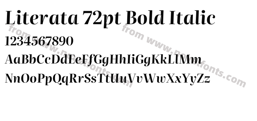 Literata 72pt Bold ItalicPreview