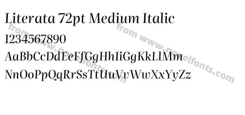Literata 72pt Medium ItalicPreview