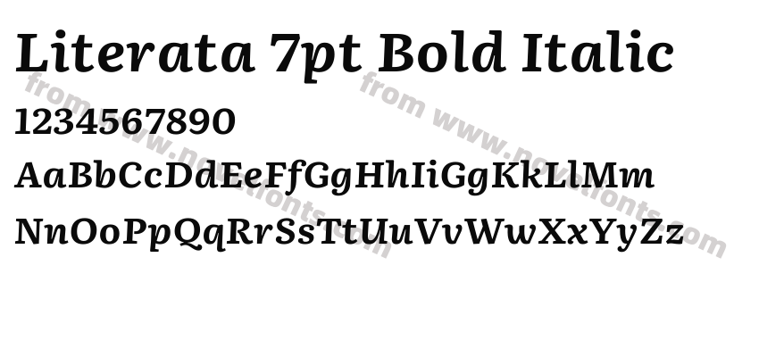 Literata 7pt Bold ItalicPreview